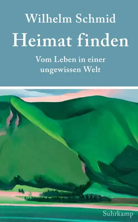 Schmid |  Heimat finden | Buch |  Sack Fachmedien