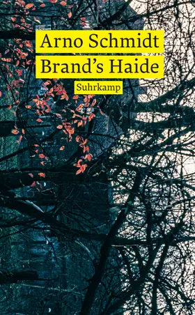 Schmidt |  Brand's Haide | Buch |  Sack Fachmedien