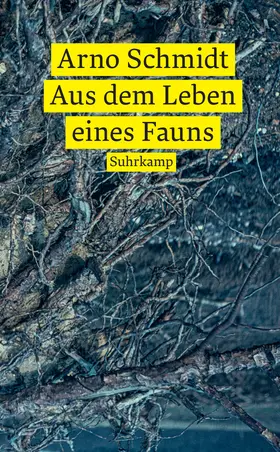 Schmidt |  Aus dem Leben eines Fauns | Buch |  Sack Fachmedien