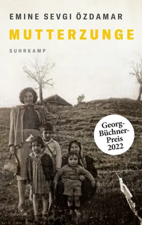 Özdamar |  Mutterzunge | Buch |  Sack Fachmedien