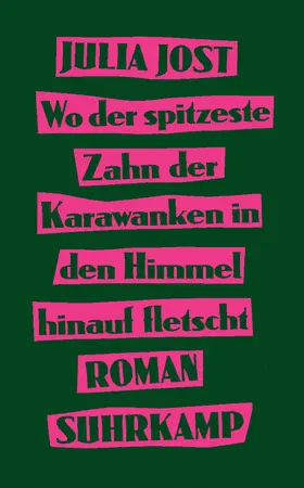 Jost |  Wo der spitzeste Zahn der Karawanken in den Himmel hinauf fletscht | Buch |  Sack Fachmedien