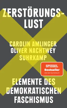 Amlinger / Nachtwey | Zerstörungslust | Buch | 978-3-518-47574-4 | www.sack.de