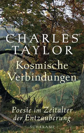 Taylor |  Kosmische Verbindungen | Buch |  Sack Fachmedien