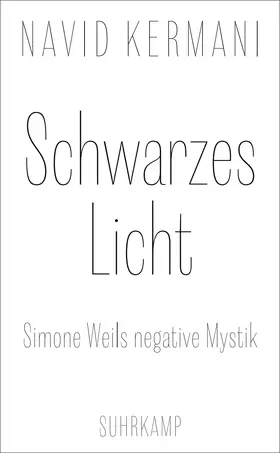 Kermani |  Schwarzes Licht | Buch |  Sack Fachmedien