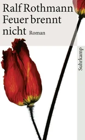 Rothmann |  Feuer brennt nicht | eBook | Sack Fachmedien