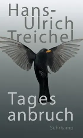 Treichel |  Tagesanbruch | eBook | Sack Fachmedien