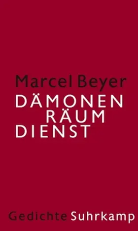 Beyer |  Dämonenräumdienst | eBook | Sack Fachmedien