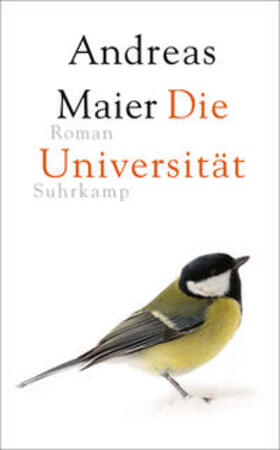 Maier | Die Universität | E-Book | sack.de
