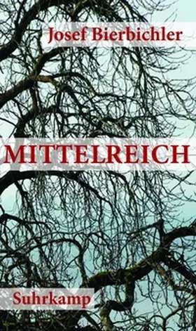 Bierbichler | Mittelreich | E-Book | www.sack.de