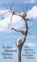 Nooteboom |  In den Bäumen blühen Steine | eBook | Sack Fachmedien