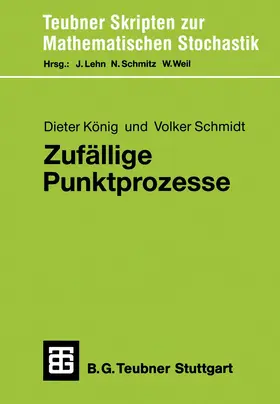 Schmidt |  Zufällige Punktprozesse | Buch |  Sack Fachmedien