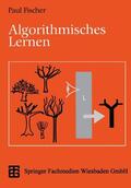 Fischer |  Algorithmisches Lernen | Buch |  Sack Fachmedien