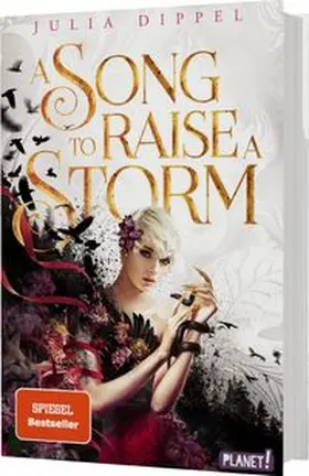 Dippel |  Die Sonnenfeuer-Ballade 1: A Song to Raise a Storm | Buch |  Sack Fachmedien