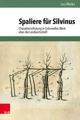 Mielke |  Spaliere für Silvinus | Buch |  Sack Fachmedien