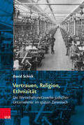 Schick |  Schick, D: Vertrauen, Religion, Ethnizität | Buch |  Sack Fachmedien