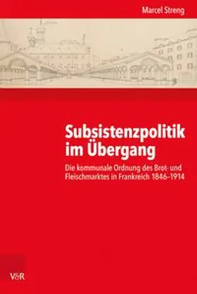 Streng | Subsistenzpolitik im Übergang | Buch | 978-3-525-37045-2 | www.sack.de