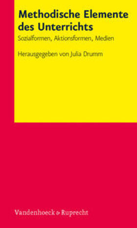 Bechthold-Hengelhaup / Biastoch / Drumm |  Methodische Elemente des Unterrichts | Buch |  Sack Fachmedien
