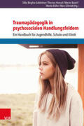 Baierl / Gahleitner / Kühn |  Traumapädagogik in psychosozialen Handlungsfeldern | Buch |  Sack Fachmedien