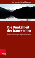 Schmidt / Trautwein |  Trautwein, B: Dunkelheit der Trauer teilen | Buch |  Sack Fachmedien