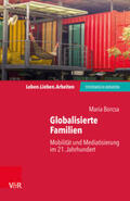 Borcsa / von Schlippe / Schweitzer |  Globalisierte Familien | Buch |  Sack Fachmedien