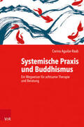 Aguilar-Raab |  Systemische Praxis und Buddhismus | Buch |  Sack Fachmedien