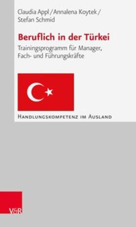 Appl / Koytek / Schmid | Beruflich in der Türkei | Buch | 978-3-525-49013-6 | sack.de