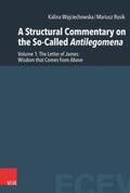 Rosik / Wojciechowska / Pietkiewicz |  A Structural Commentary on the So-Called Antilegomena | Buch |  Sack Fachmedien