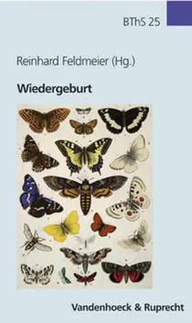 Feldmeier |  Wiedergeburt | Buch |  Sack Fachmedien