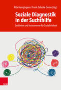 Hansjürgens / Schulte-Derne / Röh |  Soziale Diagnostik in der Suchthilfe | Buch |  Sack Fachmedien