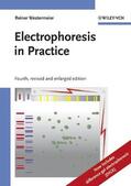 Westermeier |  Electrophoresis in Practice | Buch |  Sack Fachmedien