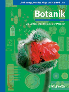 Lüttge / Kluge / Thiel | Botanik - Die umfassende Biologie der Pflanzen | Buch | 978-3-527-32030-1 | sack.de