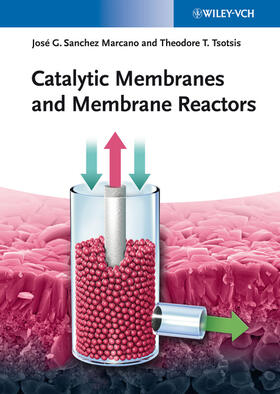 Sanchez Marcano / Tsotsis |  Catalytic Membranes and Membrane Reactors | Buch |  Sack Fachmedien