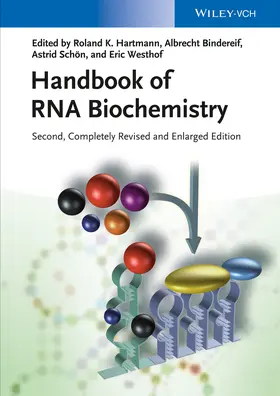 Hartmann / Bindereif / Schön |  Handbook of RNA Biochemistry | Buch |  Sack Fachmedien