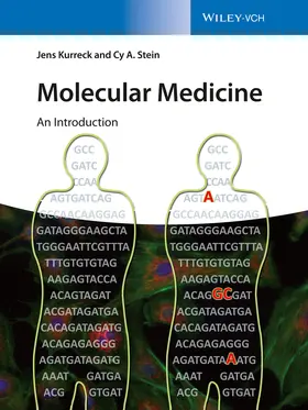 Kurreck / Stein | Molecular Medicine | Buch | 978-3-527-33189-5 | www.sack.de