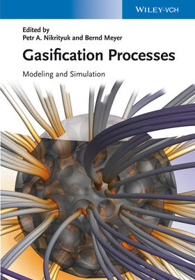 Nikrityuk / Meyer | Gasification Processes | Buch | 978-3-527-33550-3 | sack.de