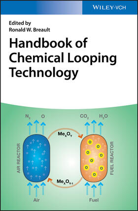 Breault | Handbook of Chemical Looping Technology | Buch | 978-3-527-34202-0 | sack.de
