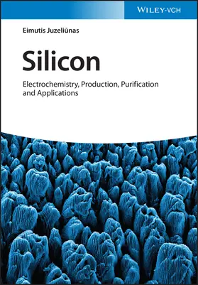 Juzeliunas / Juzeliu¯nas |  Silicon | Buch |  Sack Fachmedien
