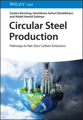 Kiessling / Darabkhani / Soliman |  Circular Steel Production | Buch |  Sack Fachmedien