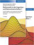 Ansorge / Oberle / Rothe |  Mathematik in den Ingenieur- und Naturwissenschaften | Buch |  Sack Fachmedien