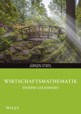 Stiefl | Wirtschaftsmathematik verstehen und anwenden | Buch | 978-3-527-53029-8 | sack.de