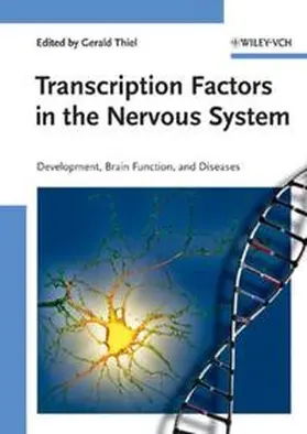 Thiel |  Transcription Factors in the Nervous System | eBook | Sack Fachmedien
