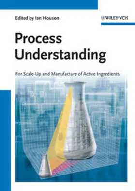 Houson |  Process Understanding | eBook | Sack Fachmedien