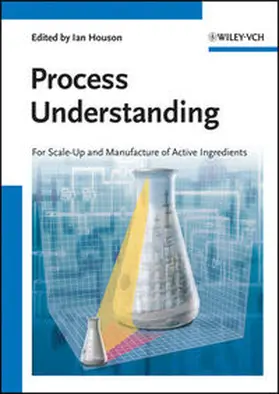 Houson |  Process Understanding | eBook | Sack Fachmedien