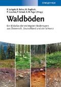 Leitgeb / Reiter / Englisch |  Waldböden | eBook | Sack Fachmedien
