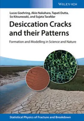 Goehring / Nakahara / Dutta |  Desiccation Cracks and their Patterns | eBook | Sack Fachmedien
