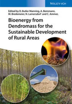 Butler-Manning / Bemmann / Bredemeier |  Bioenergy from Dendromass for the Sustainable Development of Rural Areas | eBook | Sack Fachmedien