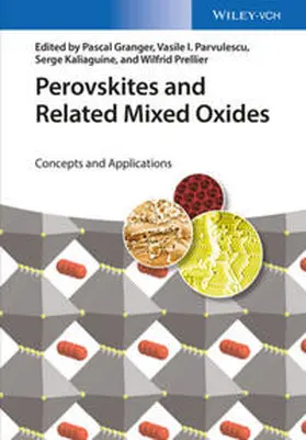 Granger / Parvulescu / Kaliaguine |  Perovskites and Related Mixed Oxides | eBook | Sack Fachmedien