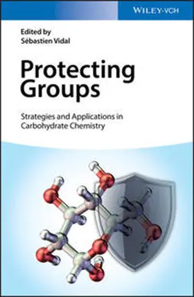 Vidal |  Protecting Groups | eBook | Sack Fachmedien
