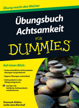 Alidina / Marshall | Alidina, S: Übungsbuch Achtsamkeit für Dummies | Buch | 978-3-527-70976-2 | sack.de