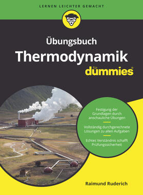 Ruderich |  Übungsbuch Thermodynamik für Dummies | Buch |  Sack Fachmedien